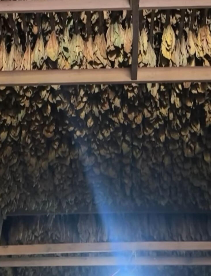 careful drying